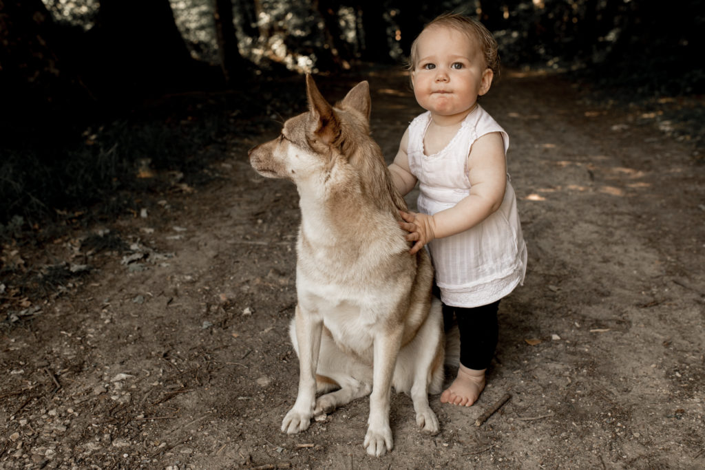 - dalale shoeir photographe mariage - seances photos famille mariage lifestyle ile de france - photographe liefstyle pontault combault - reportage photos de mariage en seine et marne
